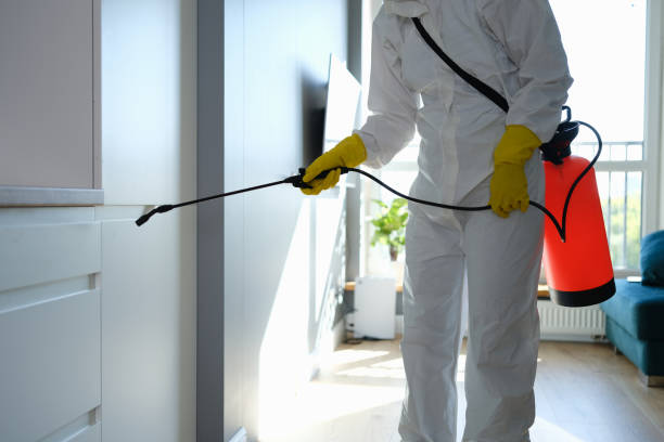 Best Commercial Mold Removal  in Aiea, HI