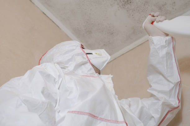 Best Certified Mold Removal  in Aiea, HI